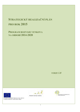 strategický realizační plán pro rok 2015