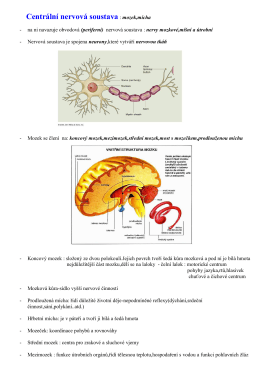 Centrální nervová soustava : mozek,mícha