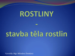 RP6_Rostliny_casti_t..