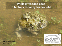 ropucha kratkonoha - pece o biotopy