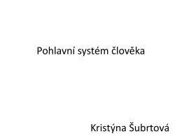 Pohlavní systém člověka Kristýna Šubrtová