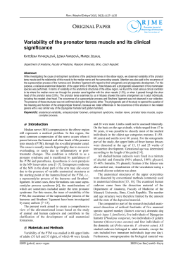 Variability of the pronator teres muscle and its clinical significance