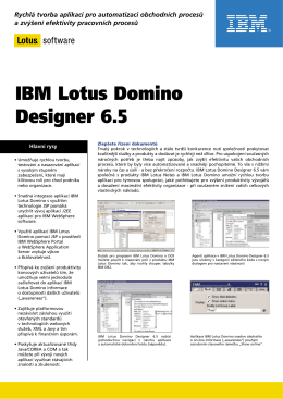IBM Lotus Domino Designer 6.5