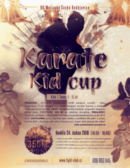 Karate Kid Cup (České Budějovice)