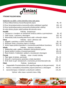 Týdenní menu (v pdf)