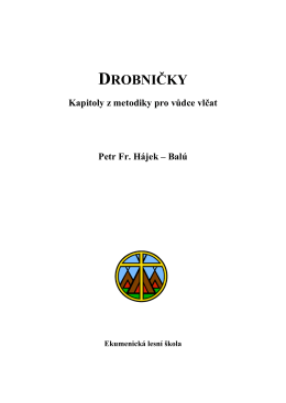 DROBNIČKY - Ekumenická lesní škola