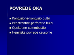 the PDF file - Zona Vida Veselinović