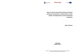 raport_koncowy_if-23_06a.pdf  - RIS Mazovia