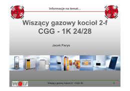 CGG - 1K 24/28