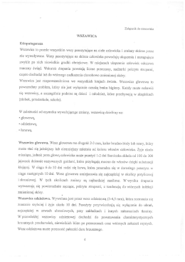 Etiopatogeneza Wszawica to przede wszystkim wszy pasożytujące