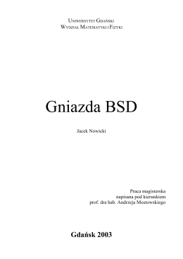 Gniazda BSD - Jacek Piotr Nowicki