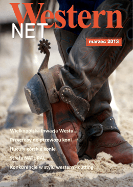 WesternNET marzec 2013 – PDF