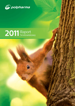 Plik PDF Raport środowiskowy 2011