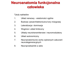 Neuroanatomia funkcjonalna: 1 (prof. E. Jurkowlaniec