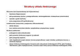 Neurofizjologia (4) (prof. E. Jurkowlaniec