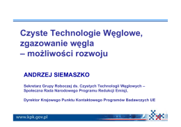 Polski Program Flagowy Czystych Technologii Węglowych