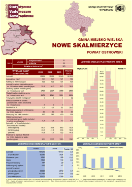 NOWE SKALMIERZYCE - Urząd Statystyczny w Poznaniu