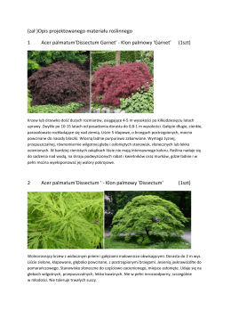 (zał )Opis projektowanego materiału roślinnego 1 Acer palmatum