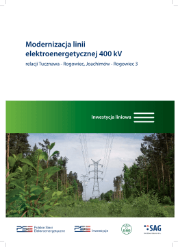 Modernizacja linii elektroenergetycznej 220 kV