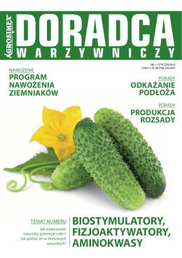 Program_praktykiTA.pdf