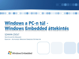 Windows Embedded Server
