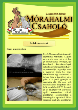 2.szám – 2014. február - MóraMancs Állatorvosi Rendelő