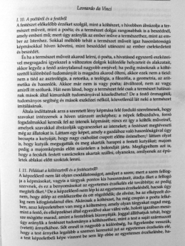 Leonardo da Vinci: &Eacute;rtekez&eacute;s a fest&eacute;szetről