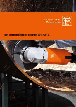 FEIN emelt frekvenciás program 2012 / 2013.