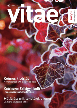 VITAE magazin 2010. november