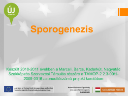 Sporogenezis