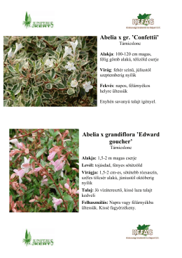 Cserjék - Juniperus