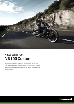 VN900 Custom - Kawasaki Tatay
