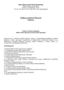 Pályázati felhívás DINPI 11-2013.pdf - Duna