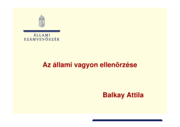 ÁLLAMI VAGYON ELLENORZESE BALKAY ATTILA.pdf