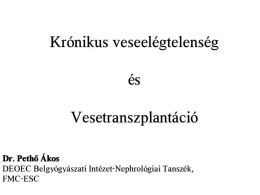 2013. december 2. - Dr. Pethő &Aacute;kos: Kr&oacute;nikus