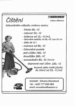 Či&scaron;těn&iacute;