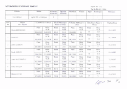 SON DEĞERLENDİRME FORMU