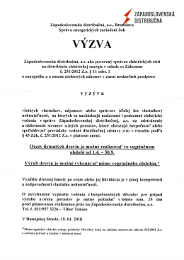 výzva