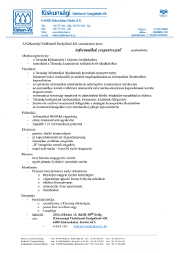 Informatikai Csoportvezető