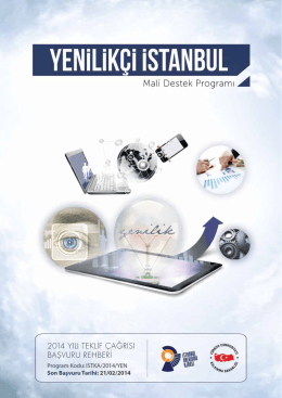 Yenilikçi İstanbul Mali Destek Programı