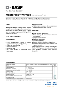 MasterTile® WP 665 (Eski Adı Yapfleks® 305) Çimento