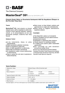 MasterSeal® 591(Eski Adı WATERPLUG®) Çimento