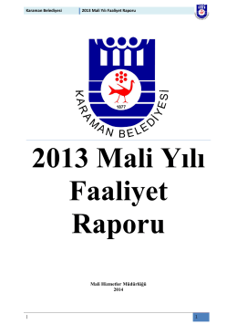 2013 Faaliyet Raporu