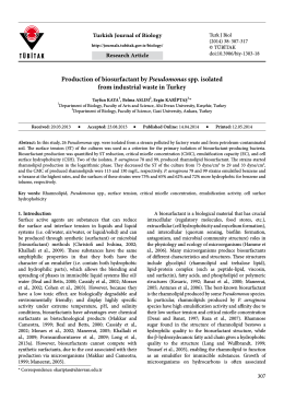 Production of biosurfactant by Pseudomonas spp