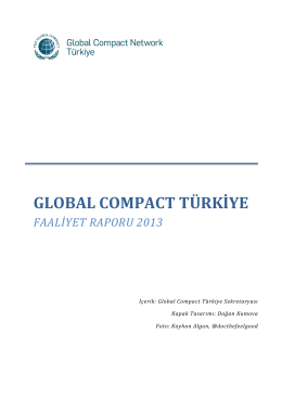 global compact türkiye faaliyet raporu 2013