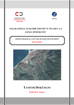 4 - Ankara Doğal Elektrik Üretim ve Ticaret A.Ş.