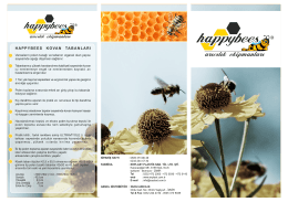 Happybees arıcılık ekipmanları broşürü