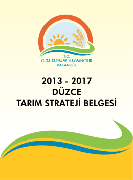Düzce İli Tarım Strateji Belgesi 2013-2017