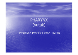 PHARYNX (yutak)