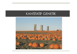 5. Kantitatif Genetik.pptx